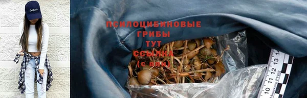 ГАЛЛЮЦИНОГЕННЫЕ ГРИБЫ Киреевск