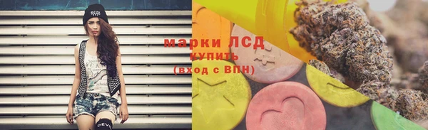 гашик Кодинск