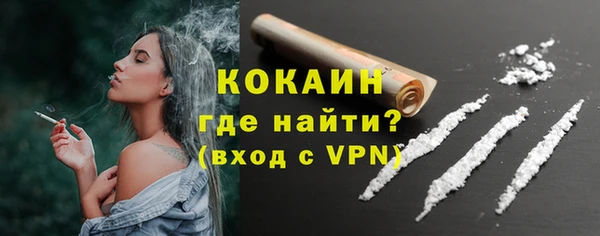 крисы Козельск