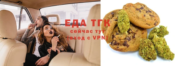 крисы Козельск
